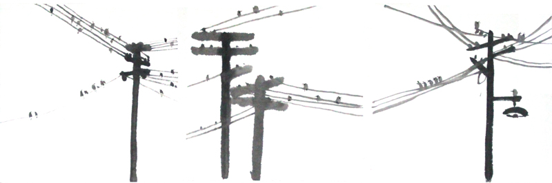 學(xué)員作品鑒賞